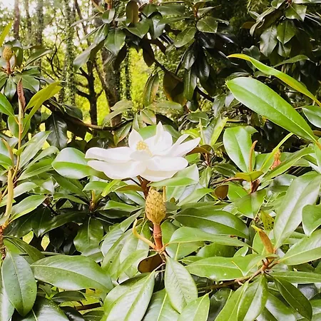 Moulin Du Fontcourt 4* Chasseneuil-sur-Bonnieure