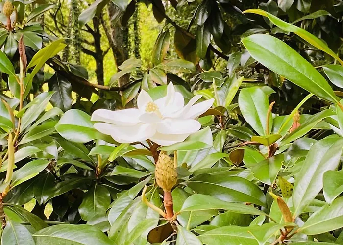 Moulin Du Fontcourt 4* Chasseneuil-sur-Bonnieure